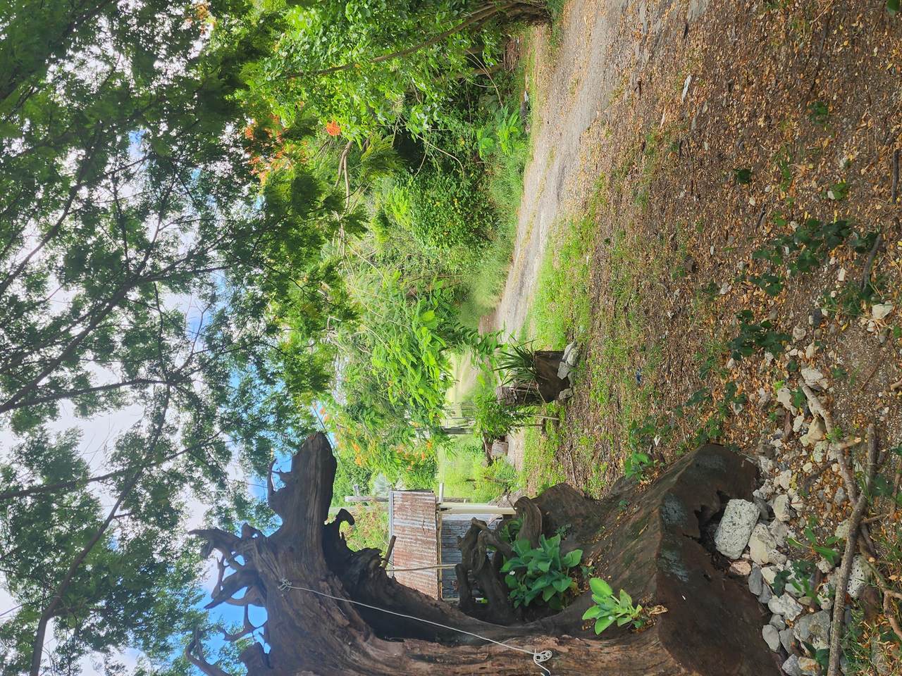 70 Sion Farm Qu - Photo 1