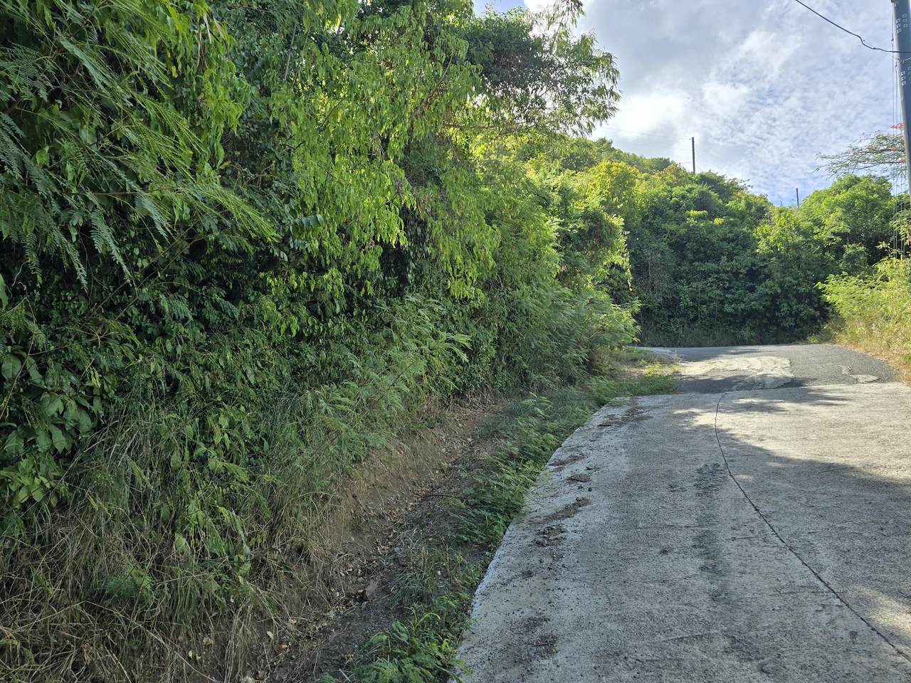 167 Jolly Hill We - Photo 1