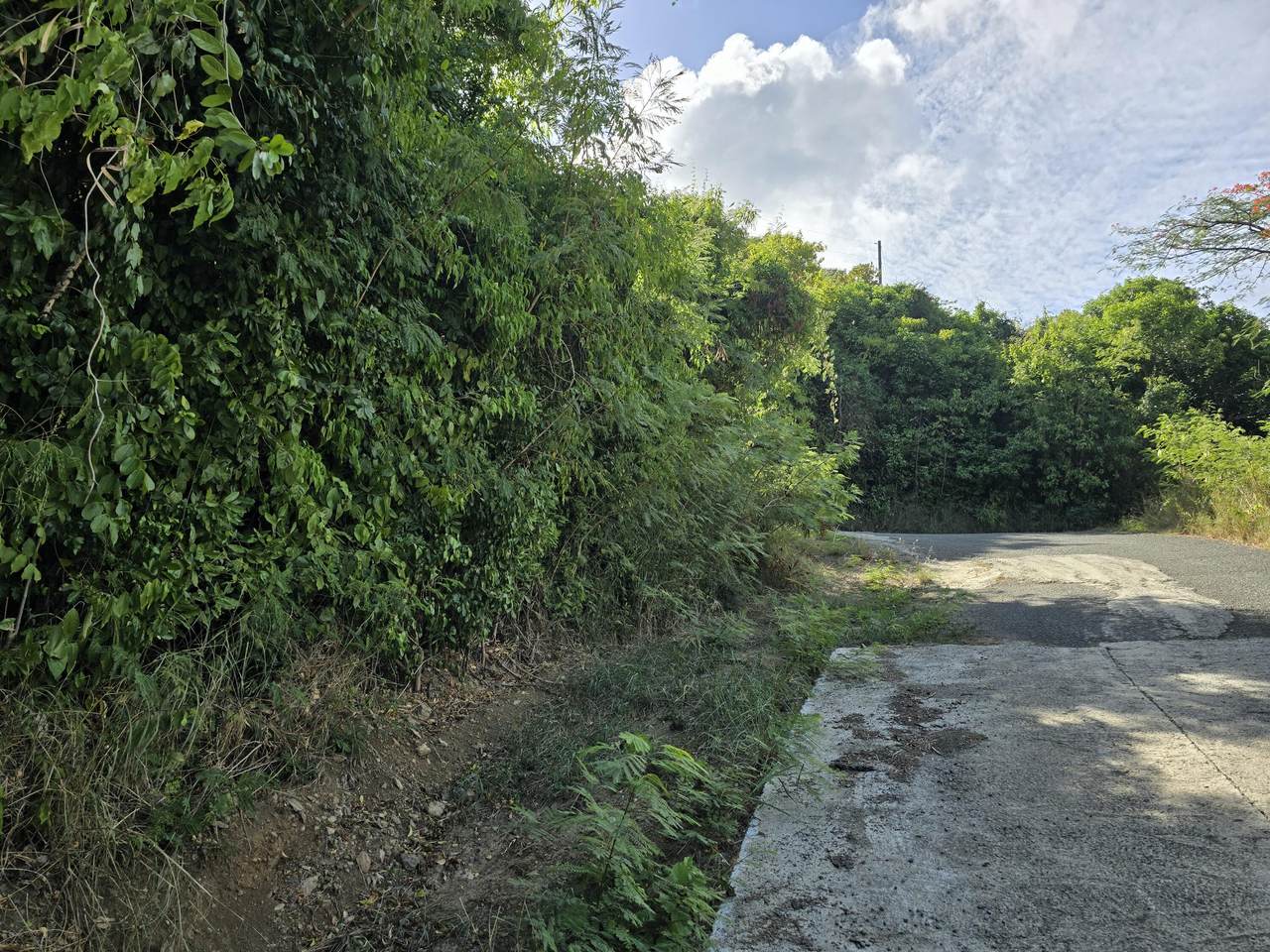 https://bt-photos.global.ssl.fastly.net/stthomas/1280_boomver_1_25-1401-2.jpg
