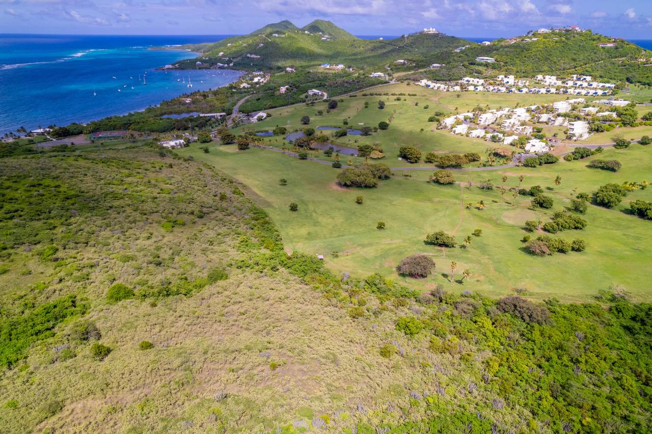 https://bt-photos.global.ssl.fastly.net/stthomas/orig_boomver_1_25-143-2.jpg