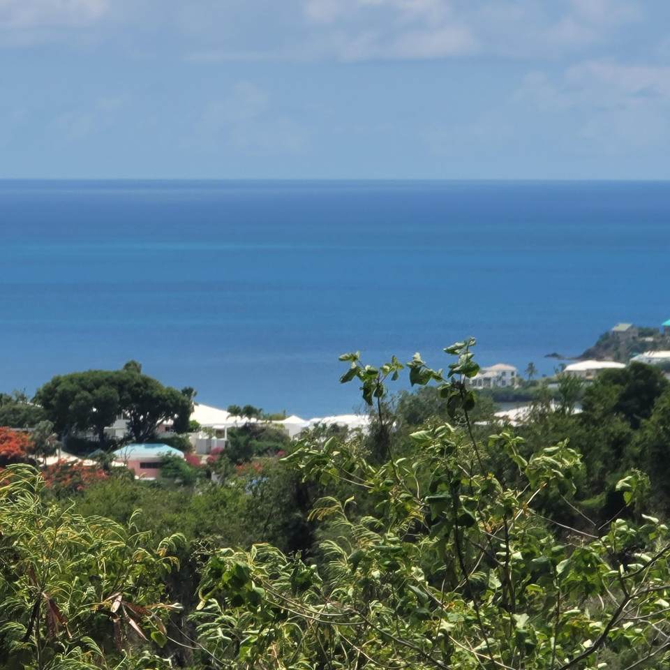 https://bt-photos.global.ssl.fastly.net/stthomas/1280_boomver_1_25-1471-2.jpg