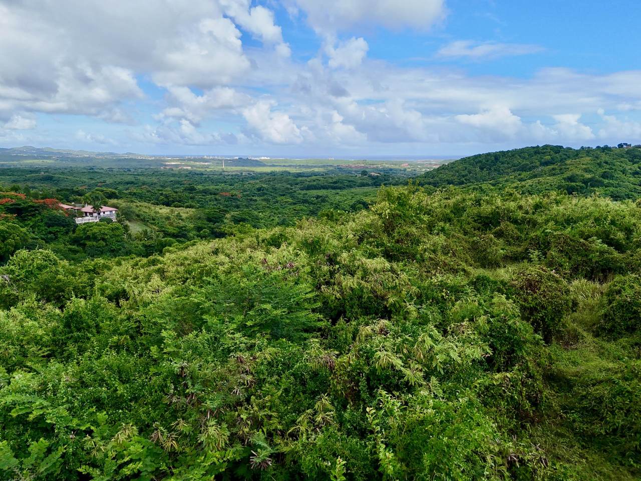 https://bt-photos.global.ssl.fastly.net/stthomas/1280_boomver_1_25-1492-2.jpg
