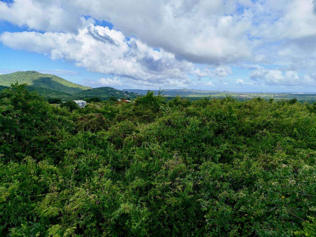 https://bt-photos.global.ssl.fastly.net/stthomas/1280_boomver_1_25-1492-2.jpg