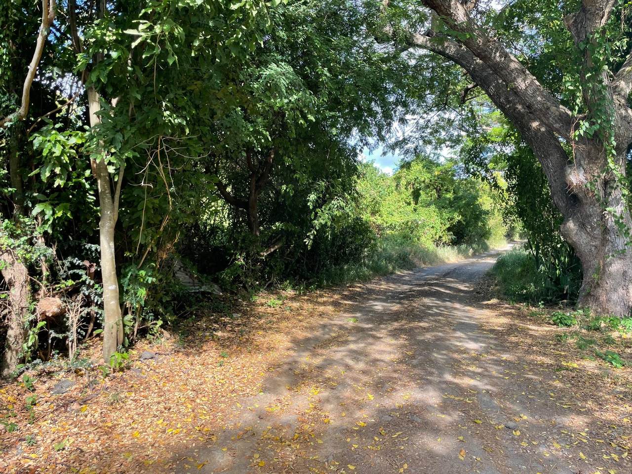 31-C La Grange We - Photo 1