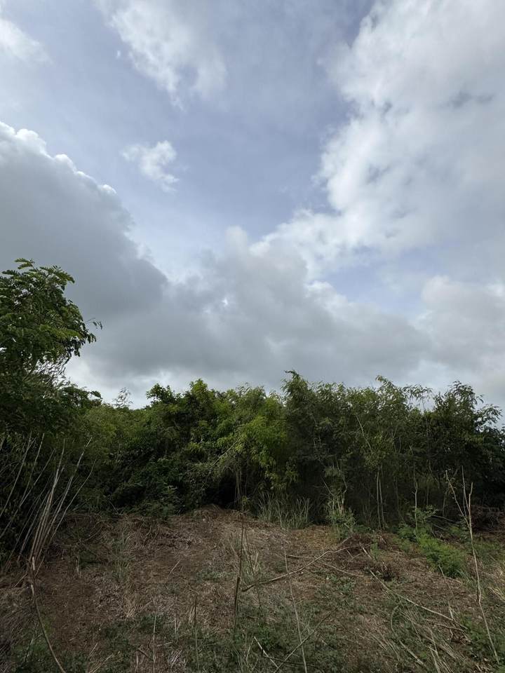 233 Little La Grange We - Photo 1