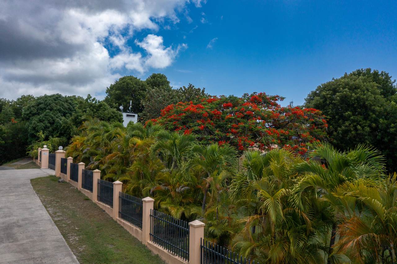 https://bt-photos.global.ssl.fastly.net/stthomas/1280_boomver_1_25-1659-2.jpg