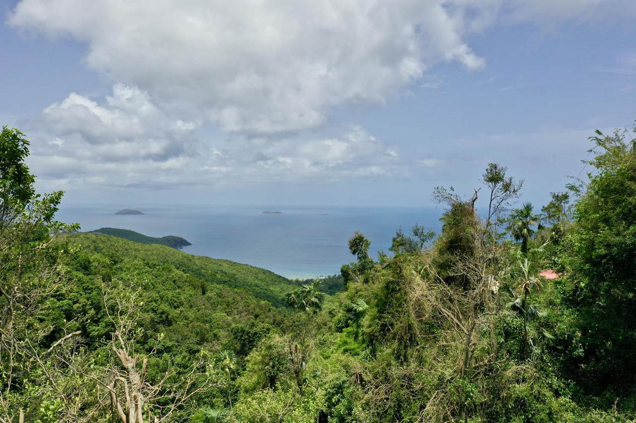 https://bt-photos.global.ssl.fastly.net/stthomas/1280_boomver_1_25-1665-2.jpg
