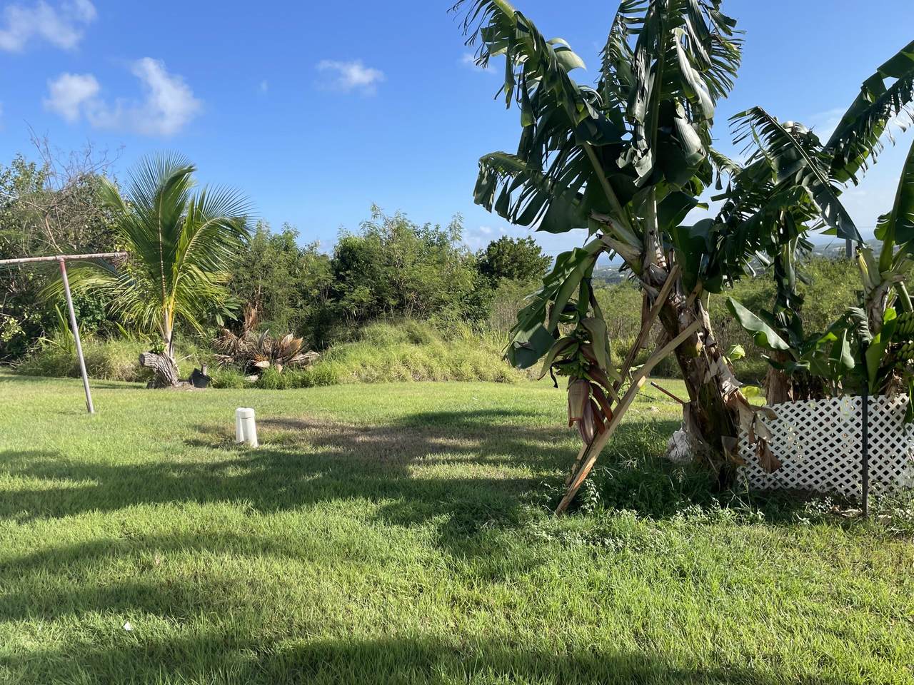 https://bt-photos.global.ssl.fastly.net/stthomas/1280_boomver_1_25-1679-2.jpg