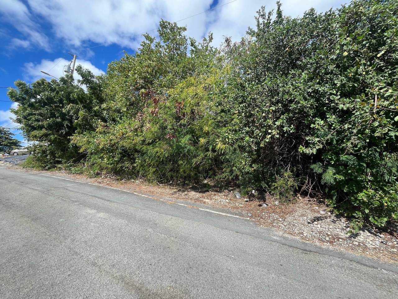 8-N Clifton Hill Ki - Photo 1