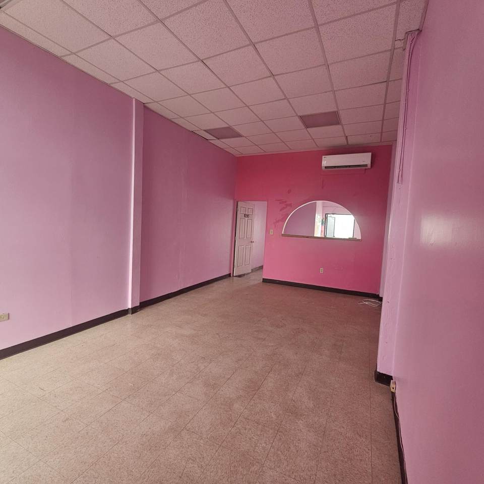 81/ 201 Castle Coakley Qu - Photo 1