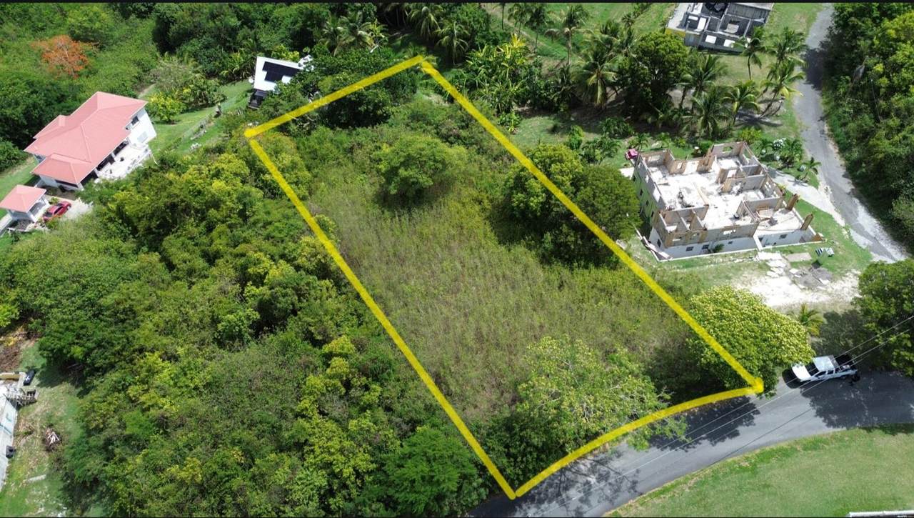 134 Morningstar Qu - Photo 1