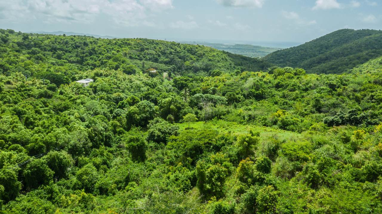 9-E Montpellier Pr - Photo 1