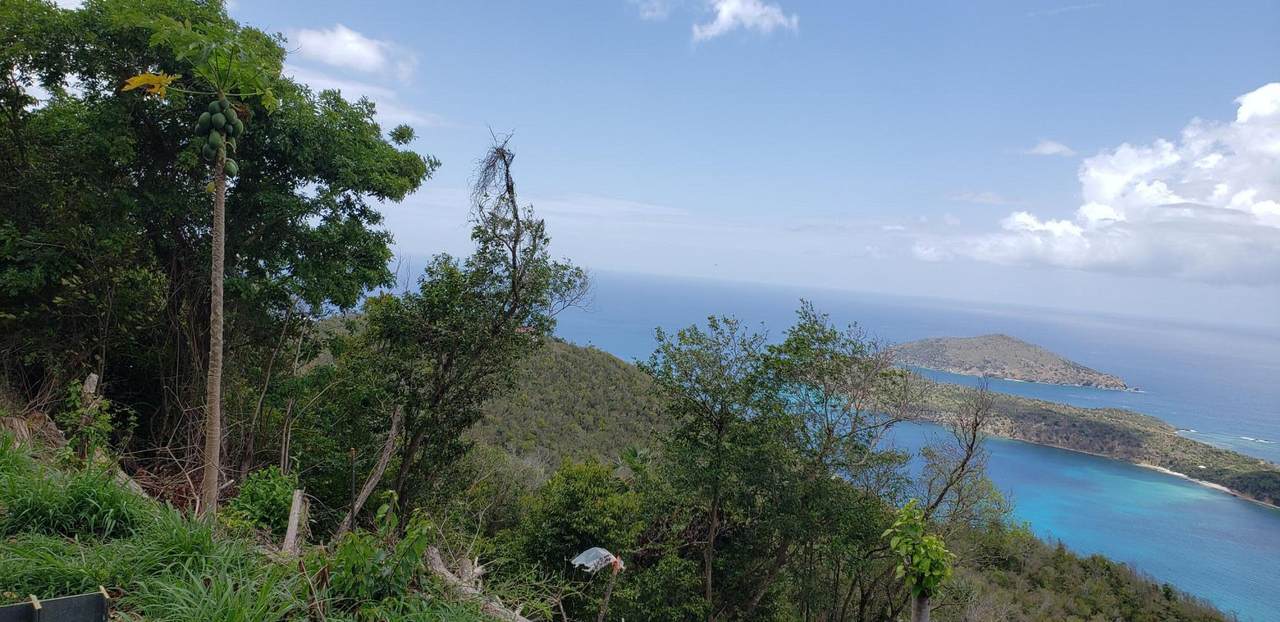 https://bt-photos.global.ssl.fastly.net/stthomas/1280_boomver_1_25-1772-2.jpg
