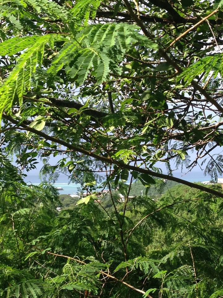 4 of 137 Mt. Welcome Ea - Photo 1