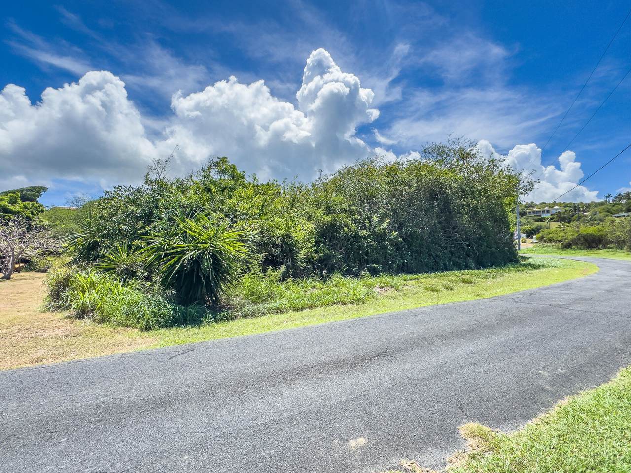 https://bt-photos.global.ssl.fastly.net/stthomas/1280_boomver_1_25-1788-2.jpg