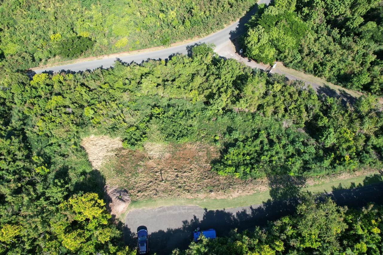 36 Prosperity Nb - Photo 1