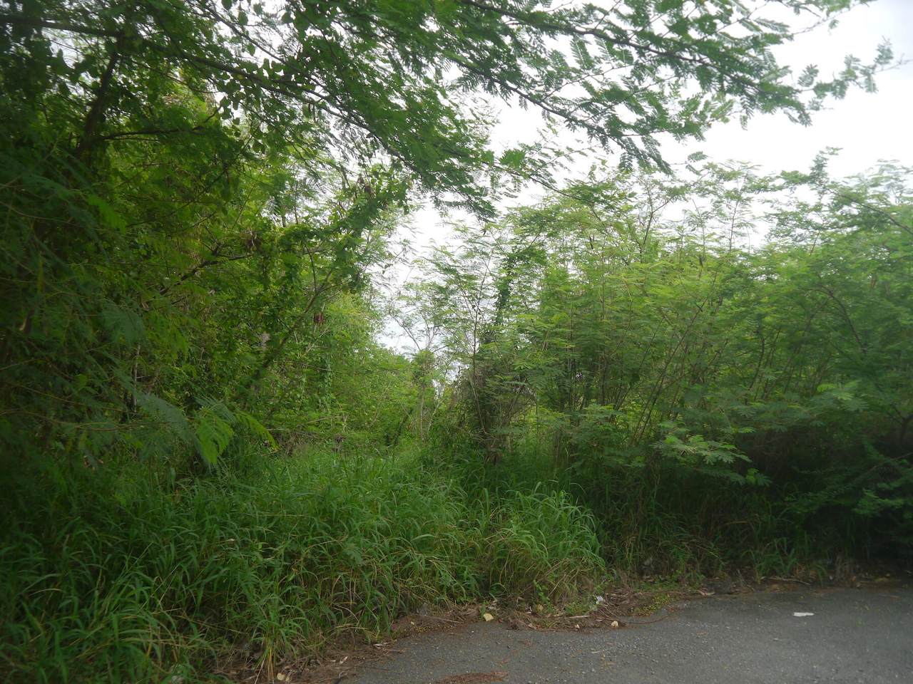 175 Bugby Hole Co - Photo 1