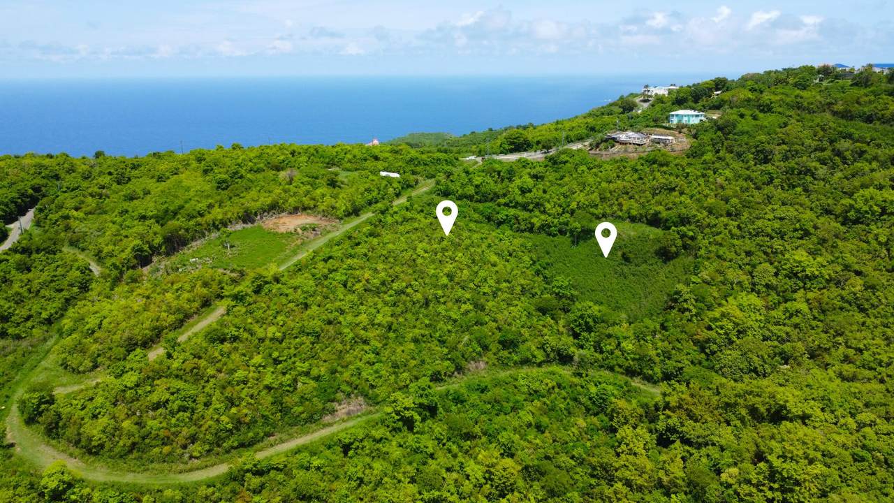 48&50 Clairmont Nb - Photo 1