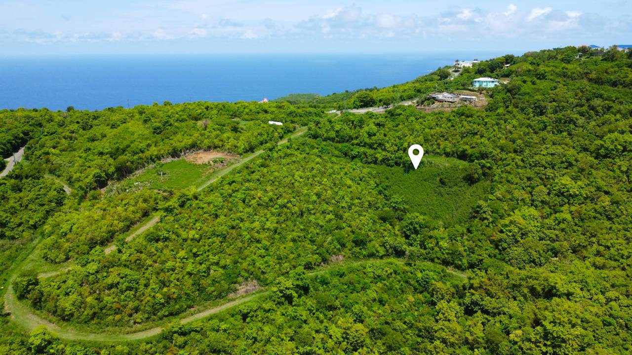 50 Clairmont Nb - Photo 1