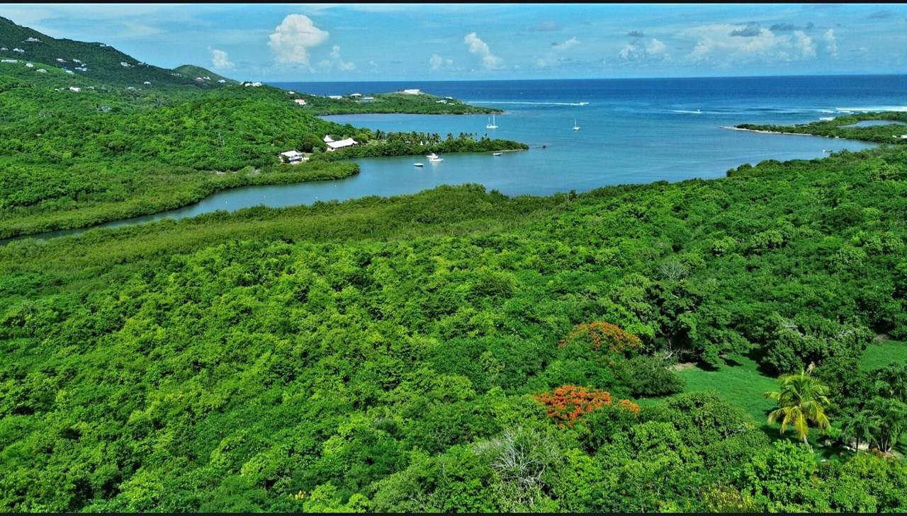 2-BE & 2-I Judith's Fancy Qu - Photo 1