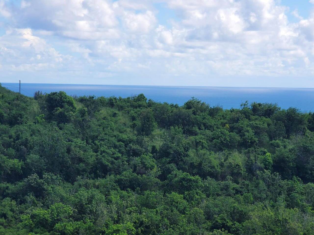 https://bt-photos.global.ssl.fastly.net/stthomas/1280_boomver_1_25-192-2.jpg