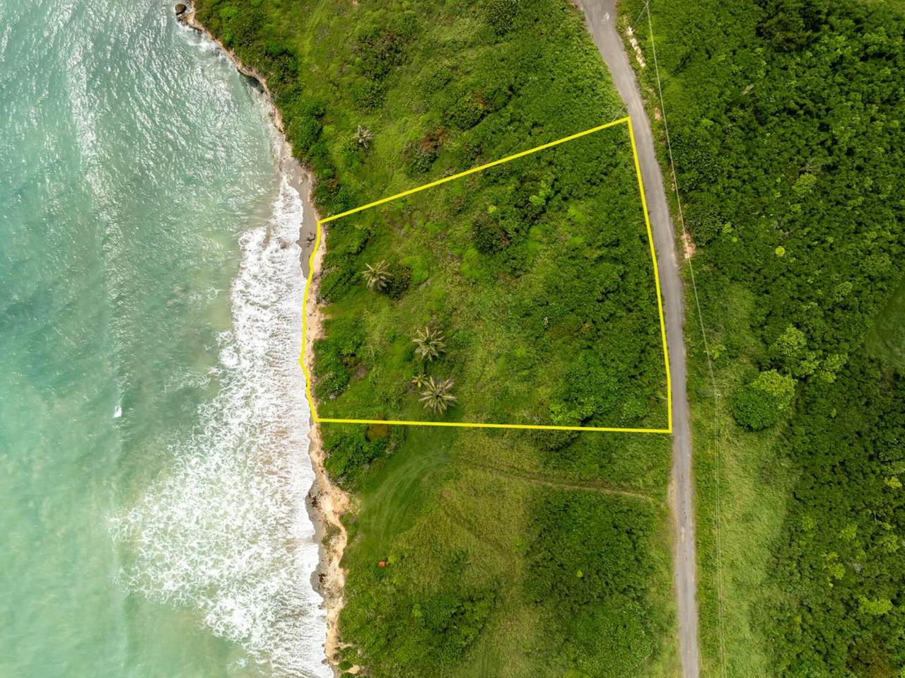 102 Enfield Green Pr - Photo 1