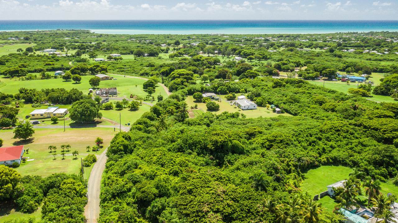 86 Carlton We - Photo 1