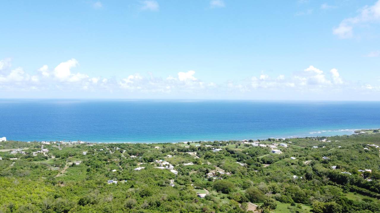 221 La Vallee Nb - Photo 1