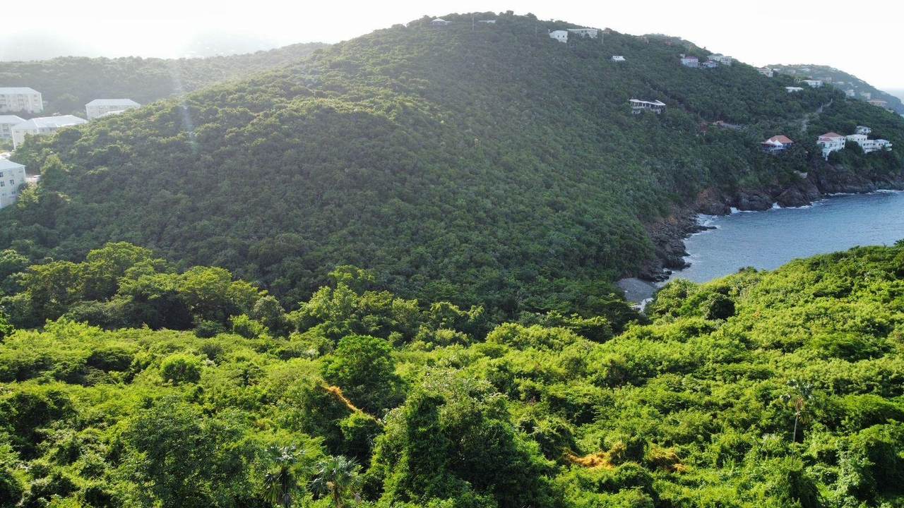 https://bt-photos.global.ssl.fastly.net/stthomas/1280_boomver_1_25-2018-2.jpg