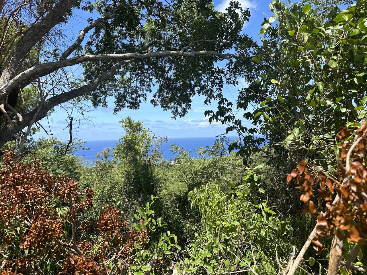 7-B Mt Washington We - Photo 1