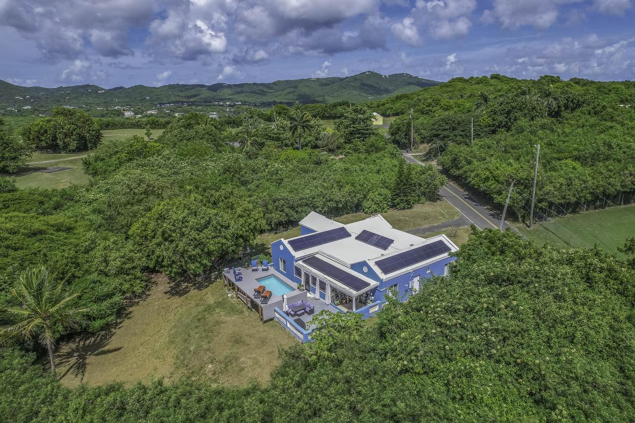 140 La Reine Ki - Photo 1