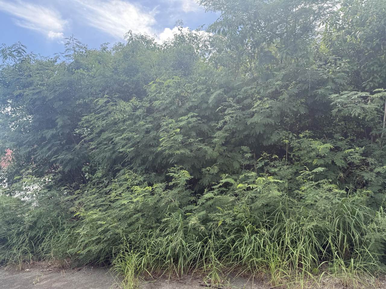 721 Strawberry Hill Ki - Photo 1