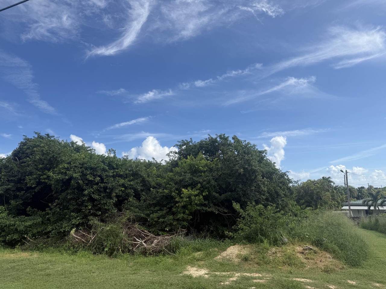 685 Strawberry Hill Ki - Photo 1