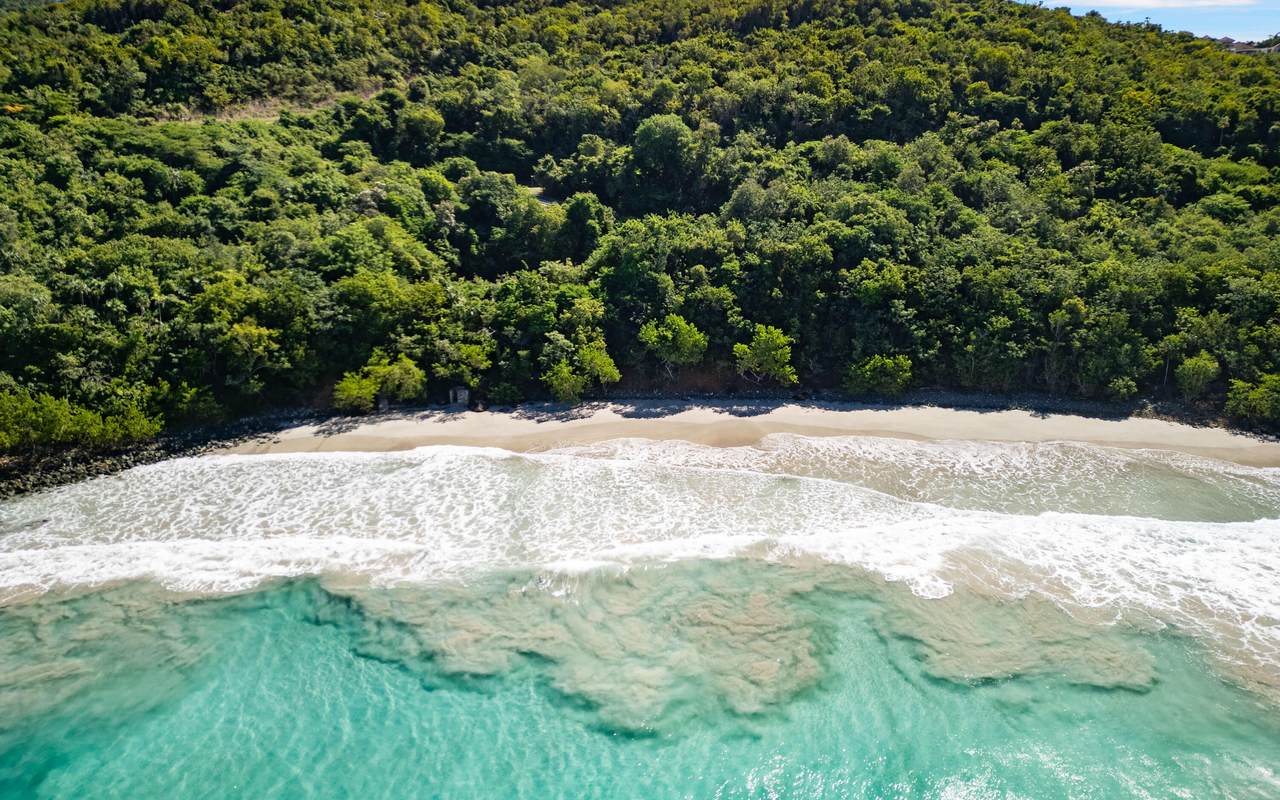 11-2 Botany Bay We - Photo 1