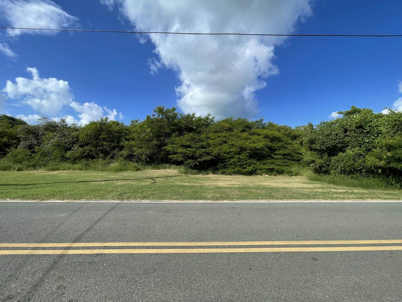 42-N Whim (Two Will) We - Photo 1