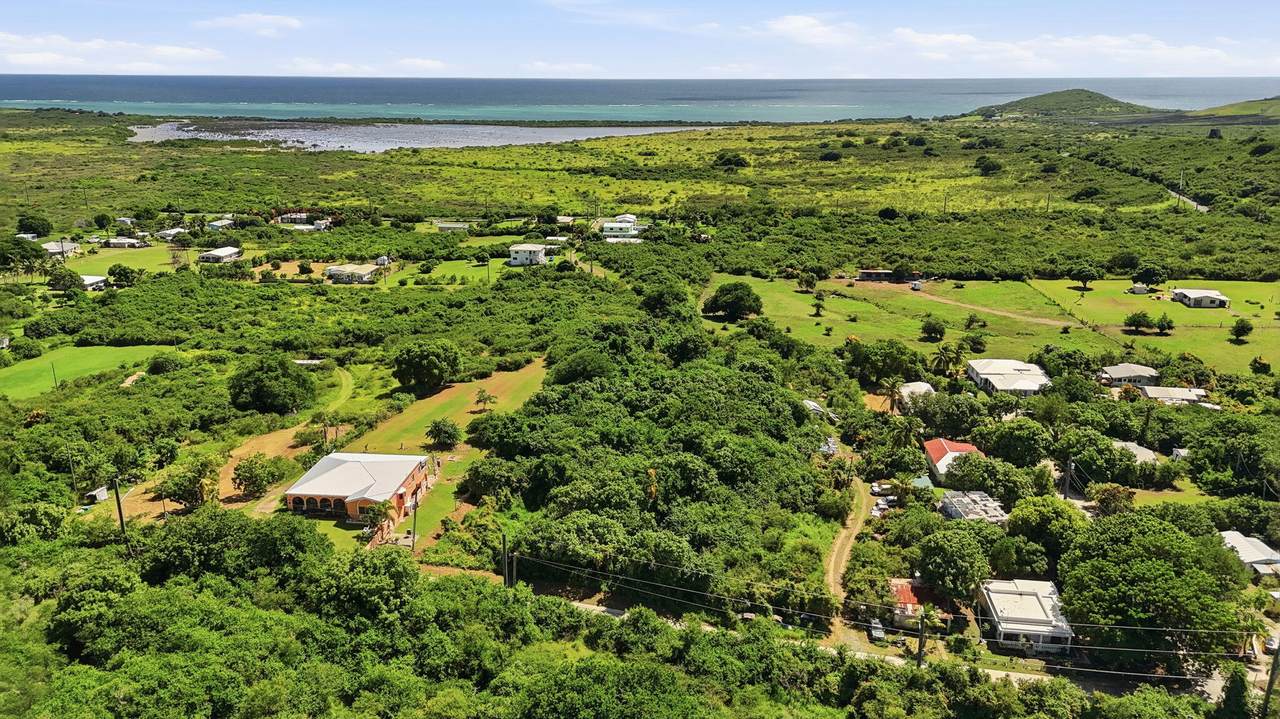 1 Sally's Fancy Ea - Photo 1