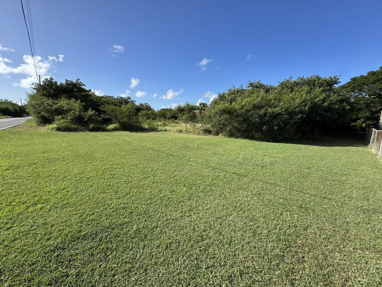 41-P Whim (Two Will) We - Photo 1