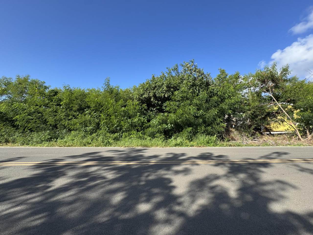 41-U Whim (Two Will) We - Photo 1