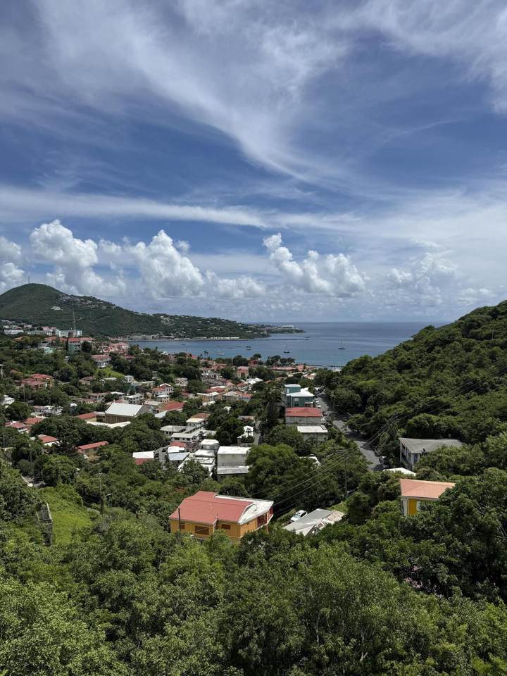 13 Agnes Fancy Qu - Photo 1