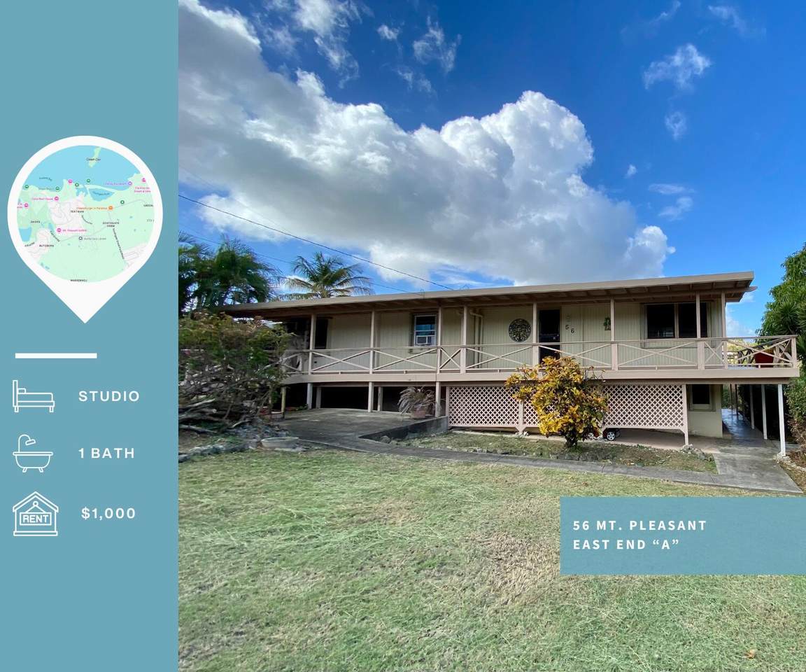 56 Mt. Pleasant Ea - Photo 1