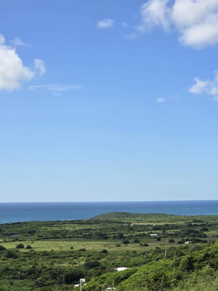 24 Spring Garden Co - Photo 1