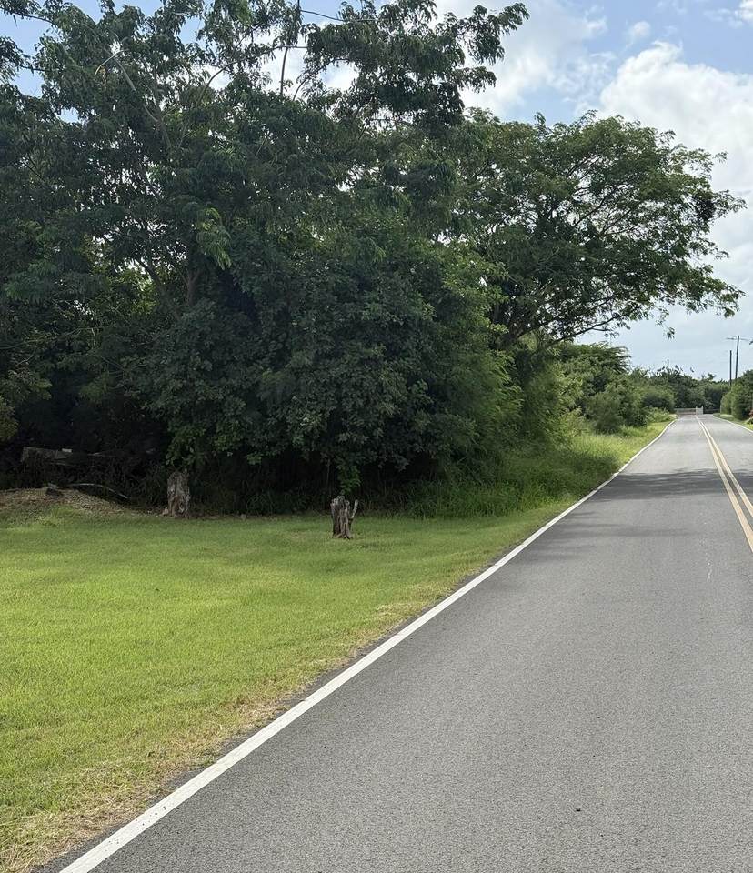 41-C Whim (Two Will) We - Photo 1