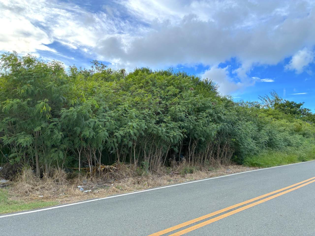 42T Whim (Two Will) We - Photo 1