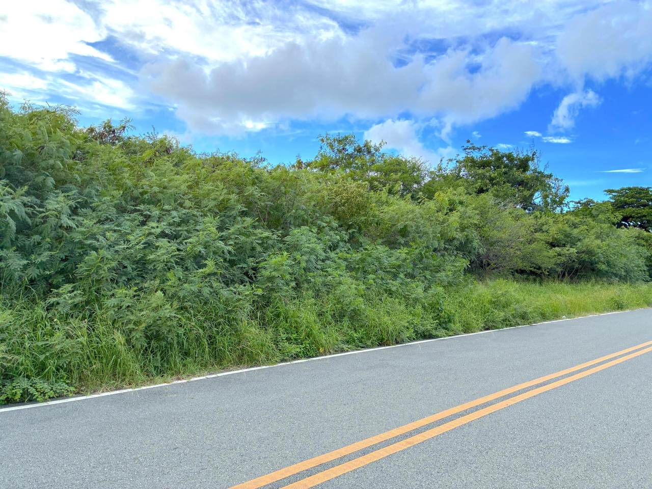 42U Whim (Two Will) We - Photo 1