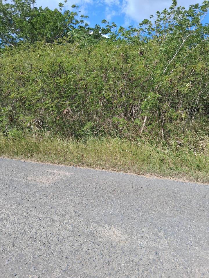 Plot 153 Enfield Green Pr - Photo 1