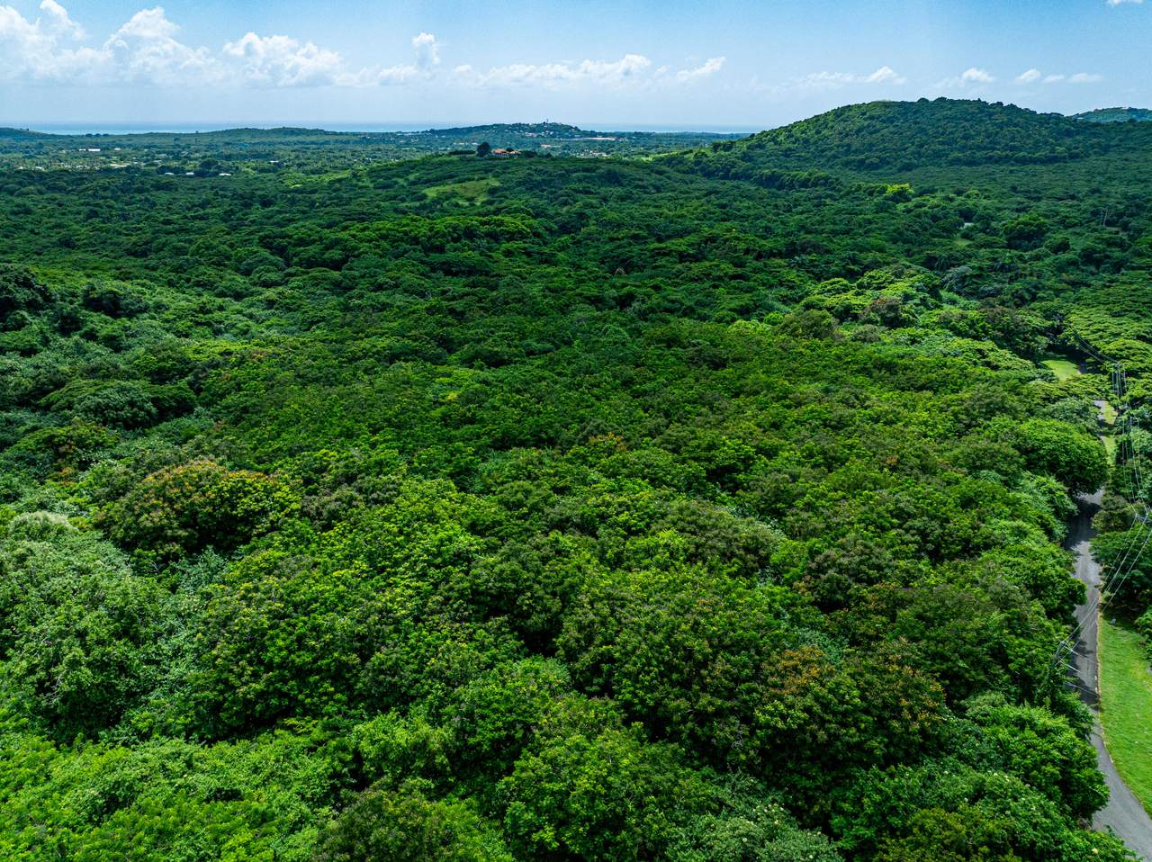 1-E River Pr - Photo 1