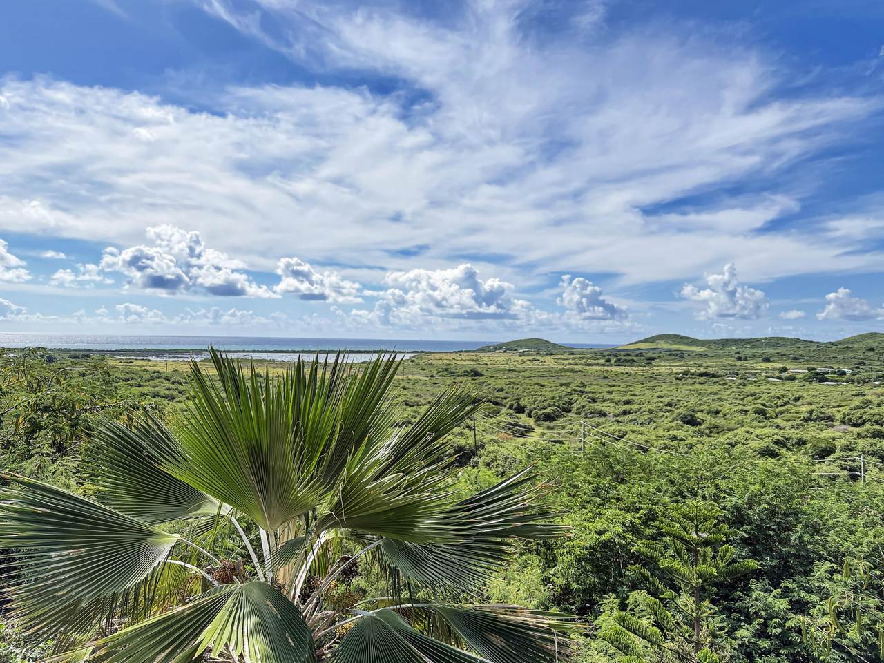 https://bt-photos.global.ssl.fastly.net/stthomas/1280_boomver_1_25-2318-2.jpg