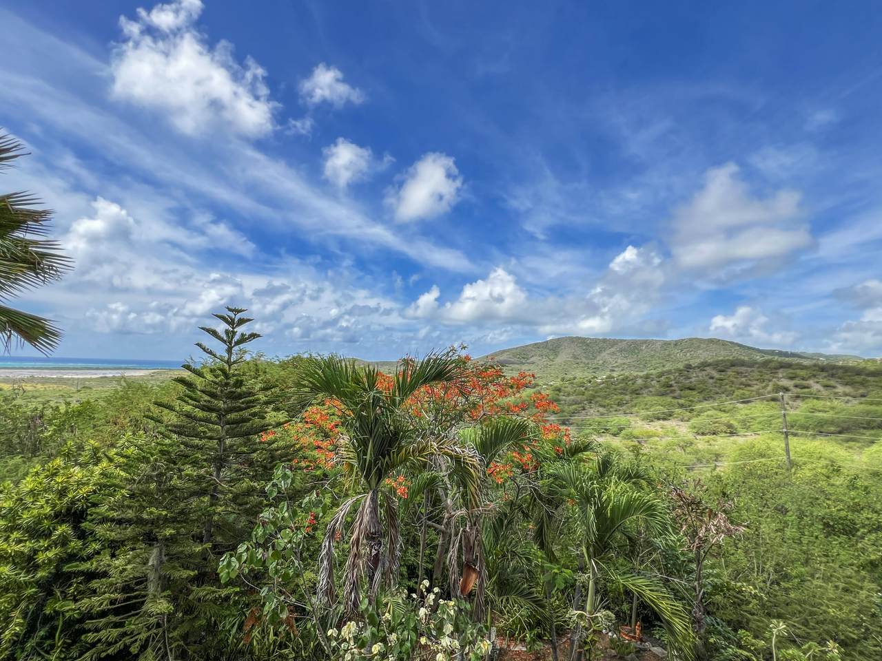 https://bt-photos.global.ssl.fastly.net/stthomas/1280_boomver_1_25-2318-2.jpg