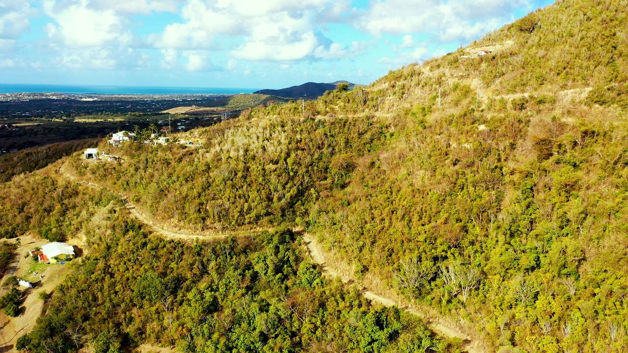 533 Mon Bijou Ki - Photo 1