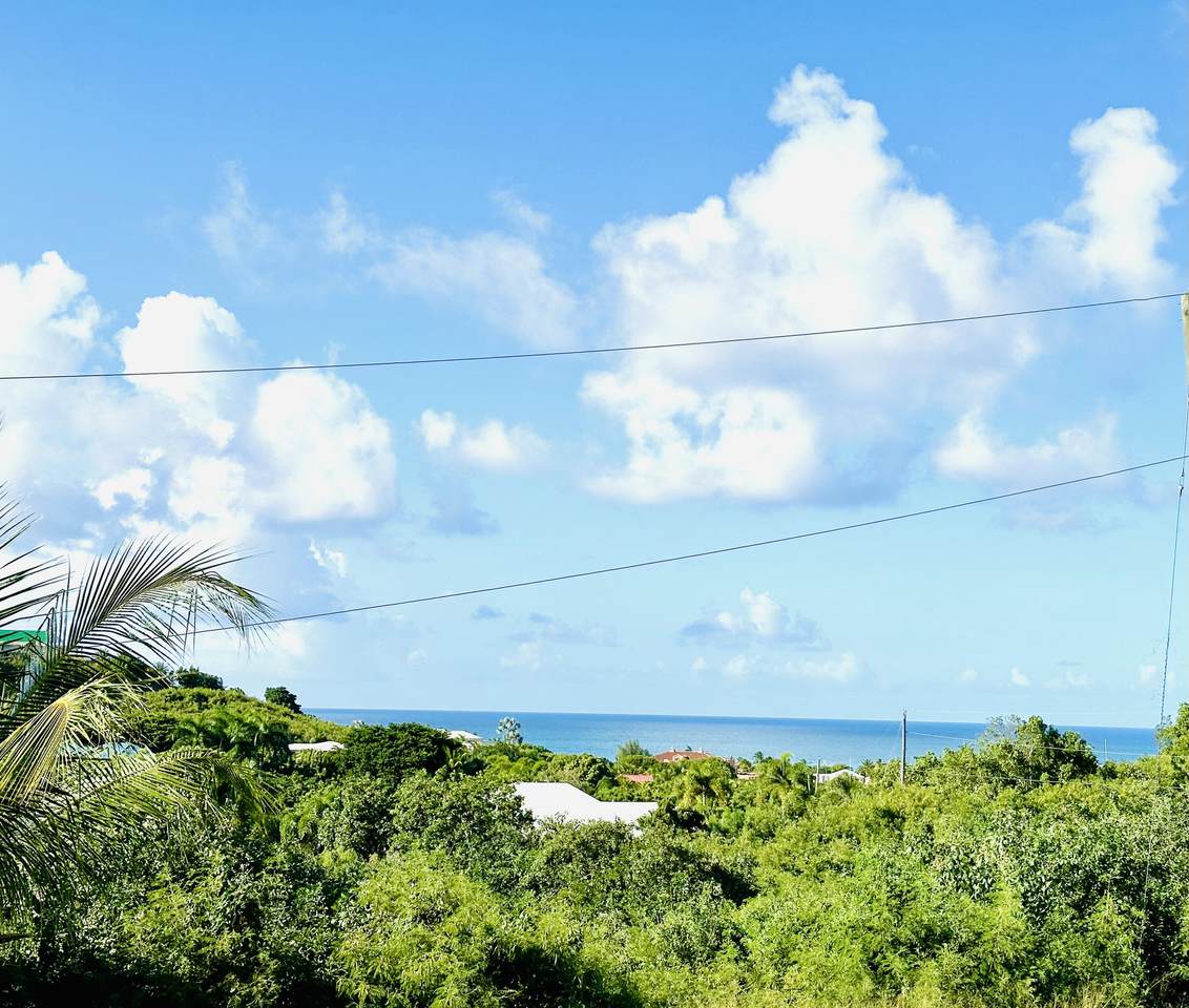 68 Anna's Hope Ea - Photo 1